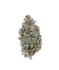 Blackwater Indica Deadhead Chemist