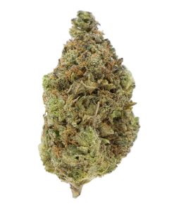 Bonguru Rockstar Indica Deadhead Chemist