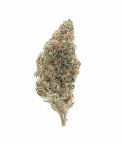 Chocolope Sativa Deadhead Chemist
