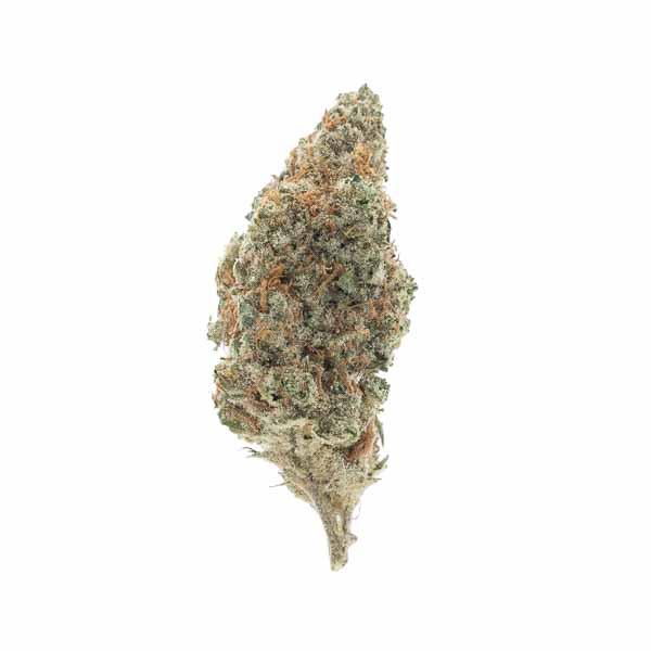 Chocolope Sativa Deadhead Chemist