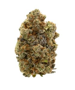 Gelato 2