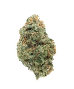 Golden Goat Sativa Deadhead Chemist