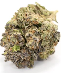 Grand Daddy Purple Indica Deadhead Chemist