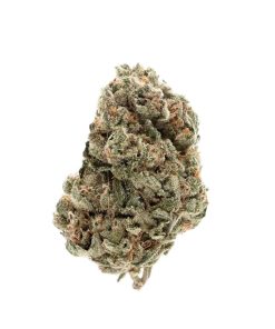 Haze #1 Sativa