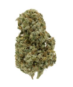 Jack Herer Sativa Deadhead Chemist