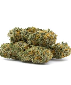 Jaggermeister By Consortium Collective Hybrid Deadhead Chemist