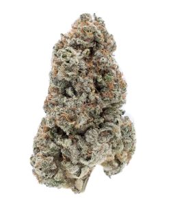 Lavender Sep.21.2018