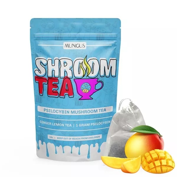 Mango Shroom Tea 1 Gram