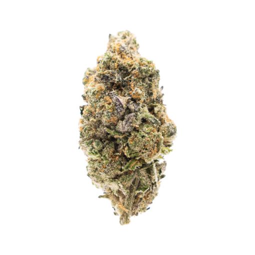 Mint Chocolate 3