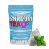 Mungus Moroccan Mint Shroom Tea | 1 GRAM
