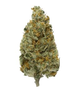 Orange Barbara Hybrid Deadhead Chemist