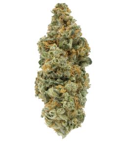 Red Diesel Sativa Deadhead Chemist