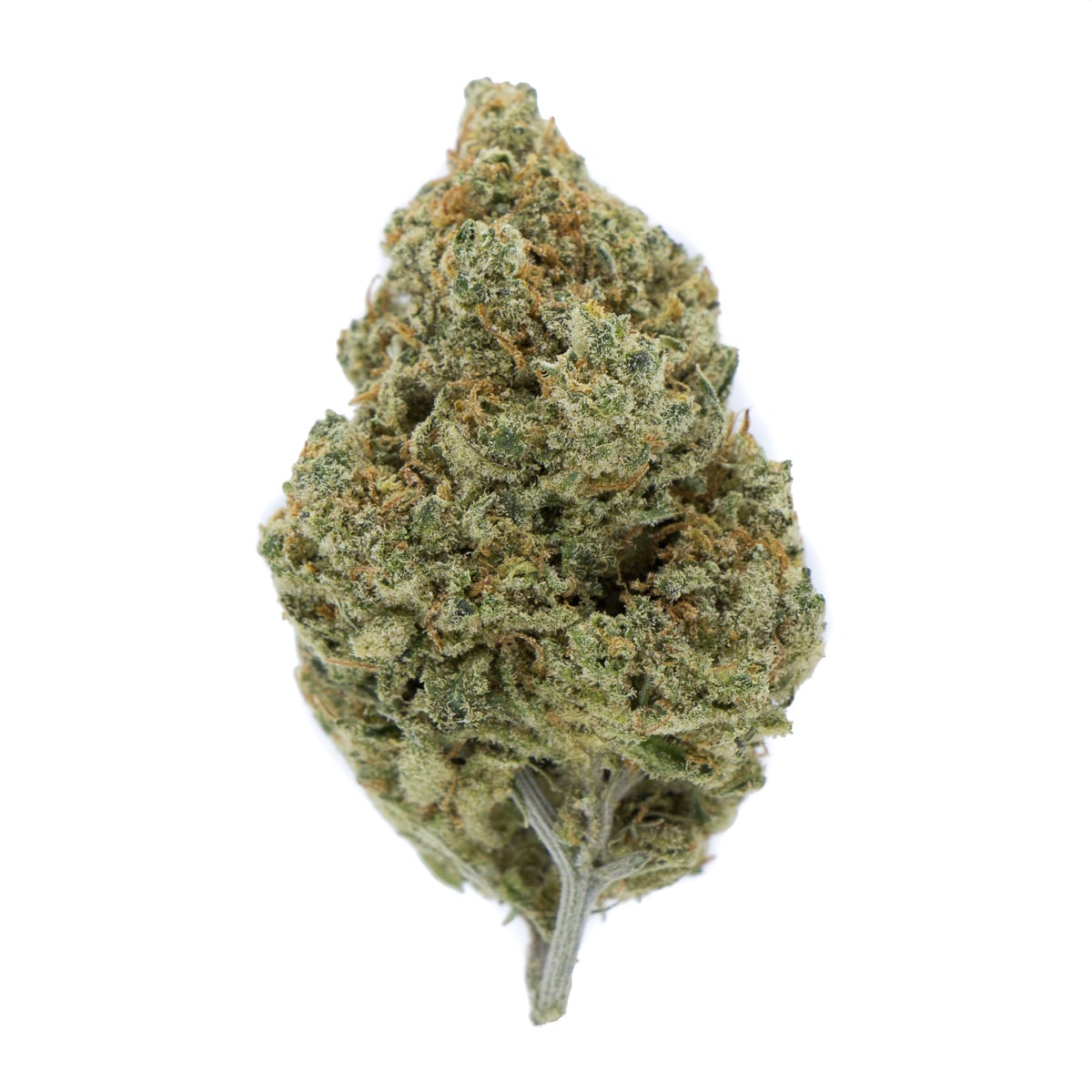 Super Lemon Diesel Sativa