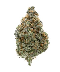 Tropic Thunder Sativa Deadhead Chemist