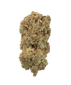 Purple Pineberry Hybrid Deadhead Chemist