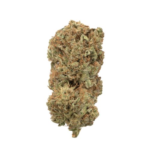 Purple Pineberry Hybrid Deadhead Chemist