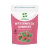 CBD Move Gummies Watermelon 100mg CBD