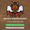 Sea Salt Chocolate Bites 400Mg Cbd