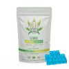 CBD Prime Lego Gummies Blue Raspberry 300mg CBD