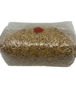 Magic Mushroom Sterile Grain Bag