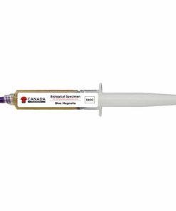 cm mushroom growing kit Blue Magnolia