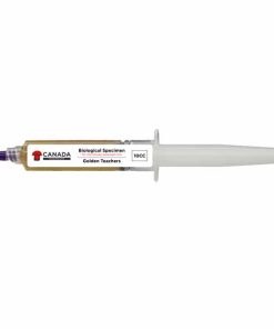 mushroom growing kit Golden Teachers