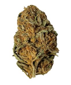 BLOW OUT SALE Rockstar Indica 28G