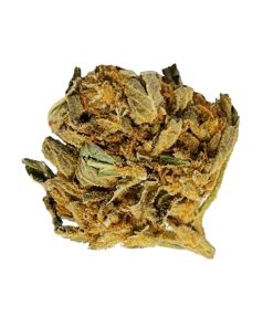 warehouse-weed