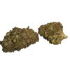 BLOW OUT SALE SFV OG Indica 28G