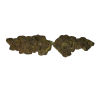 BLOW OUT SALE Wedding Pie Hybrid 28G