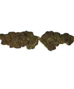 BLOW OUT SALE Wedding Pie Hybrid 28G