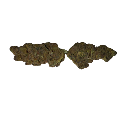BLOW OUT SALE Wedding Pie Hybrid 28G