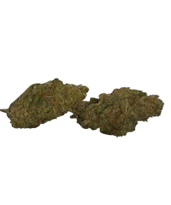 BLOW OUT SALE Sour Bubble Hybrid 28G