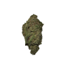 BLOW OUT SALE Apricot Hybrid 28G