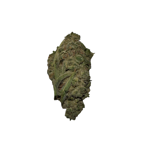 BLOW OUT SALE Apricot Hybrid 28G