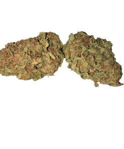 Afghan | Hybrid | 28G