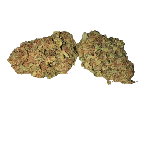 Afghan | Hybrid | 28G