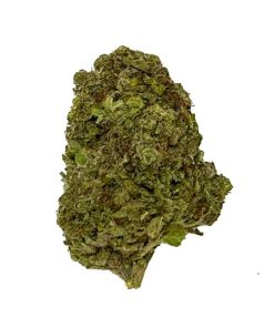 Sour Tangie Sativa