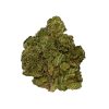 BLOW OUT SALE Apple Fritter Hybrid