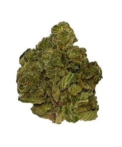 BLOW OUT SALE Apple Fritter Hybrid