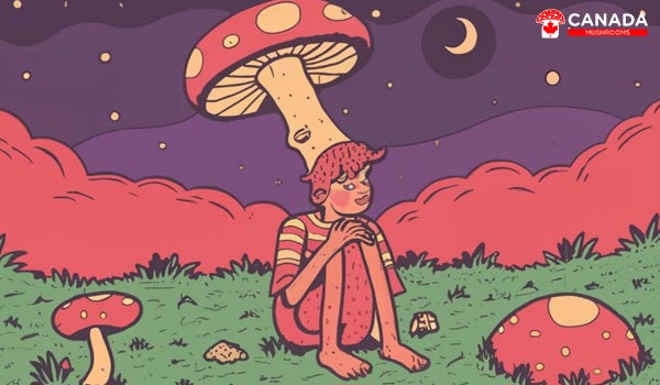 Discover the Top Three Ways to Consume Magic Mushrooms.