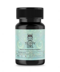 Energy Microdose 50MG Psilocybin (20) Trippy Owl
