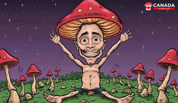 How to Have The Best Magic Mushroom Trip