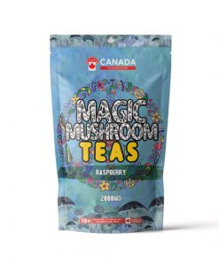 Canada Mushrooms Shroom Tea | 2000MG | Black Chai