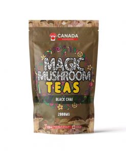 Canada Mushrooms Shroom Tea | 2000MG | Black Chai