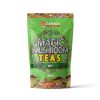 Canada Mushrooms Shroom Tea | 2000MG | mint Chai