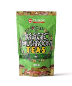 Canada Mushrooms Shroom Tea | 2000MG | mint Chai