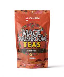 Canada Mushrooms strawberry Tea | 2000MG |