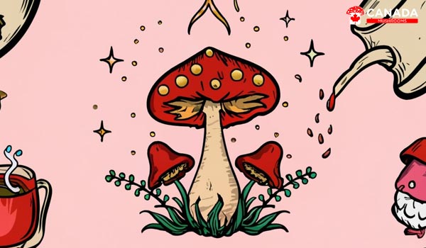 How to Make the Best Shroom Tea
