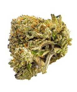Animal Cookies | Kootenay Quad Premium 28G
